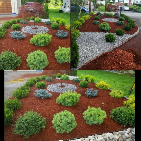 Landscaping design by alc